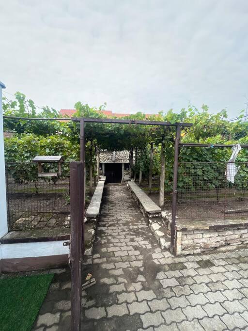 Mikulovska Se Sklepem Apartment Mikulov